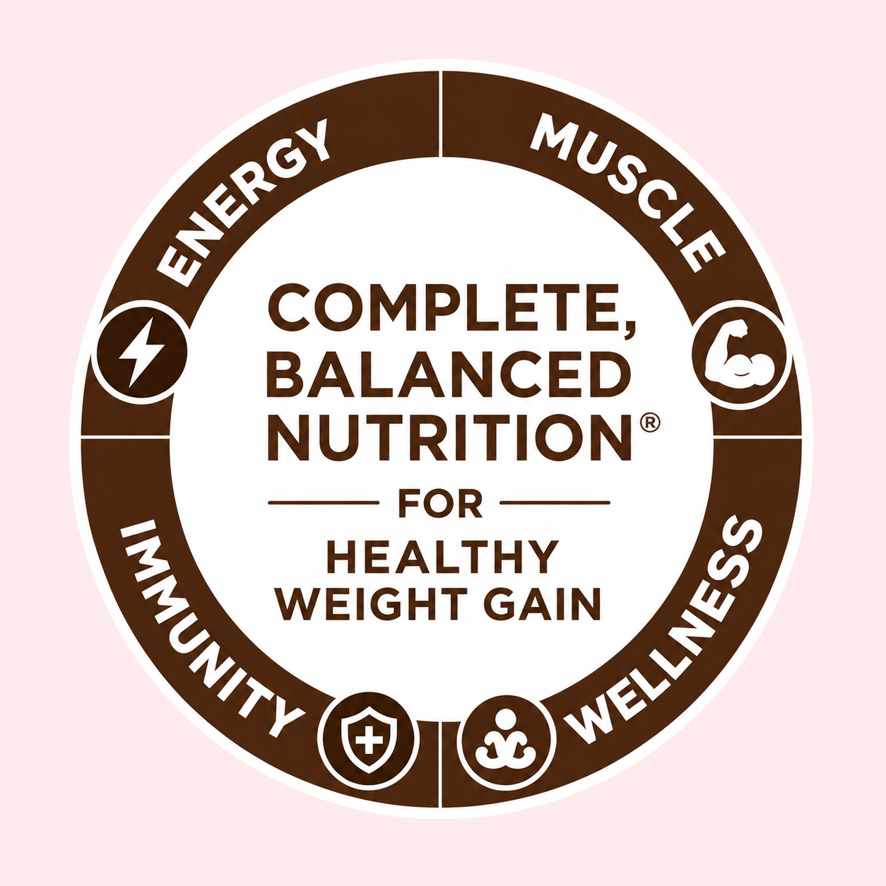 Dark Chocolate Mega Calories Smoothie Mix - Image 6